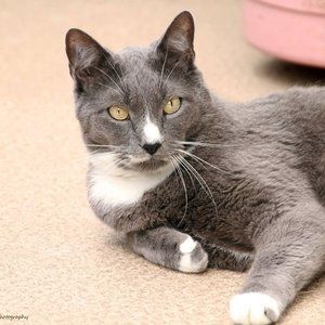 Meet your Posher, Jane